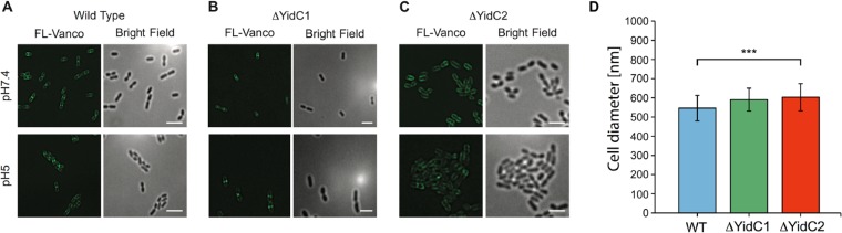 FIG 3