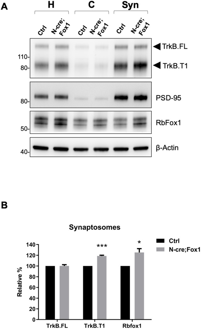 Figure 7.