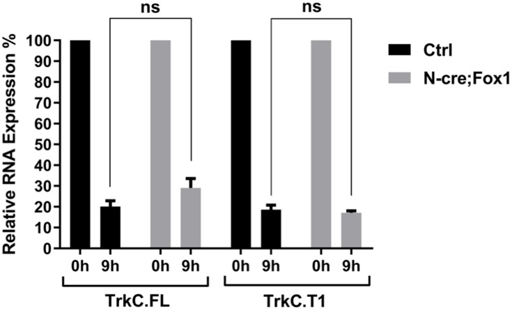 Figure 3—figure supplement 2.