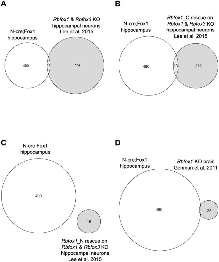 Figure 5—figure supplement 1.