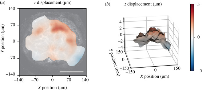 Figure 4.