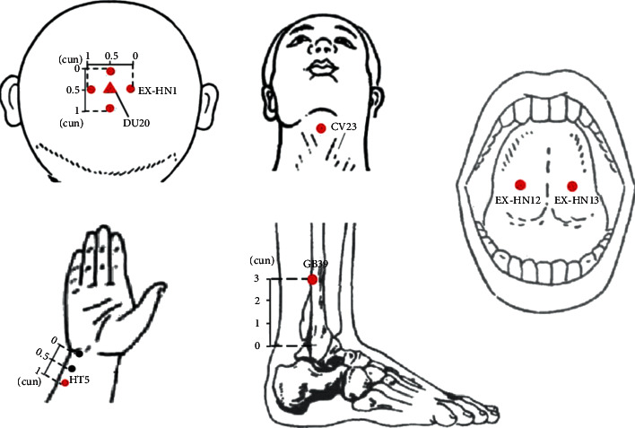 Figure 2