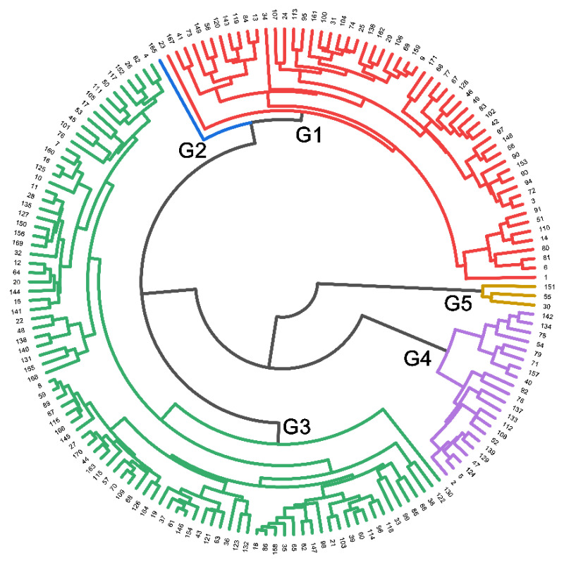 Figure 6