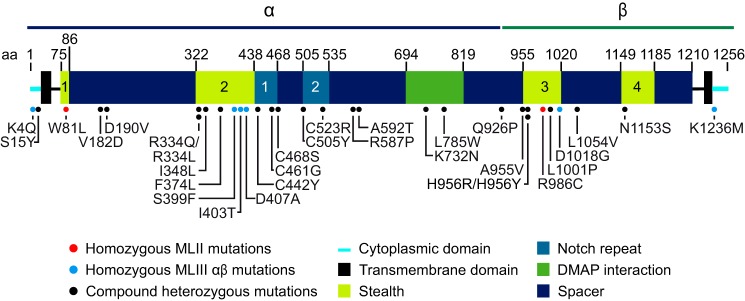 FIGURE 1.