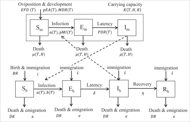 Fig. 2