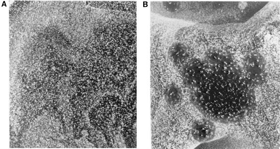 FIG. 8