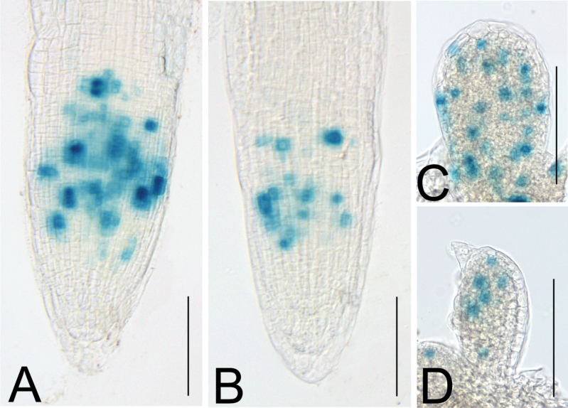 Fig. 8.