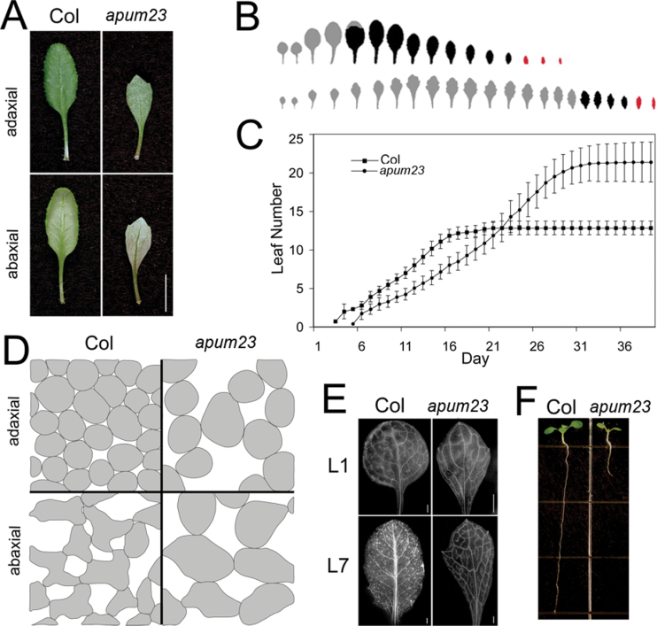 Fig. 6.