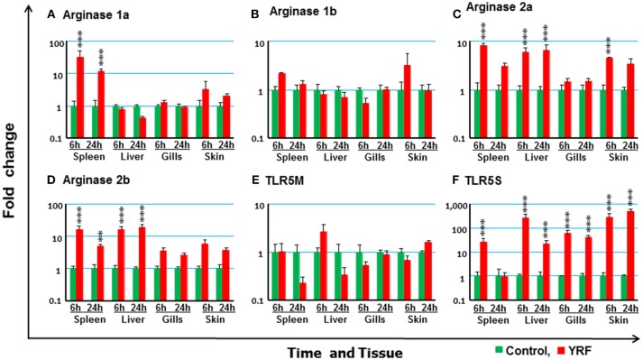 Figure 10