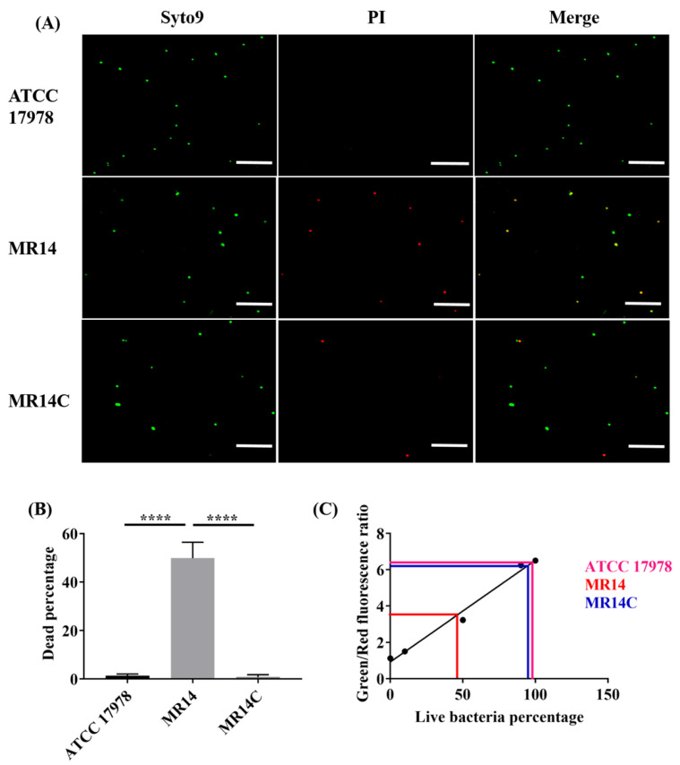 Figure 6