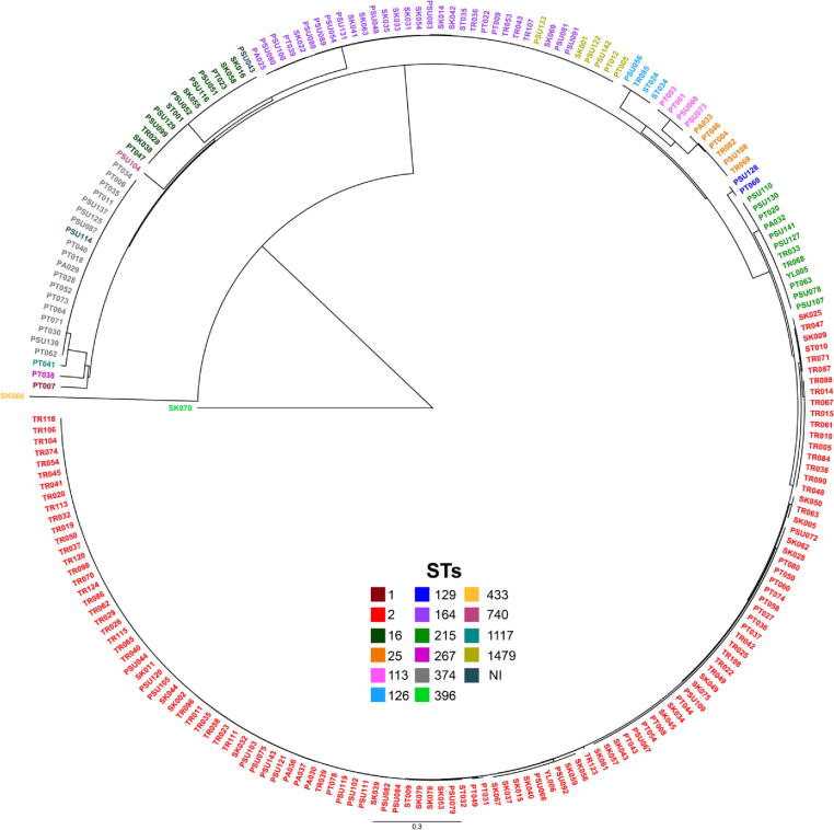 Fig. 6