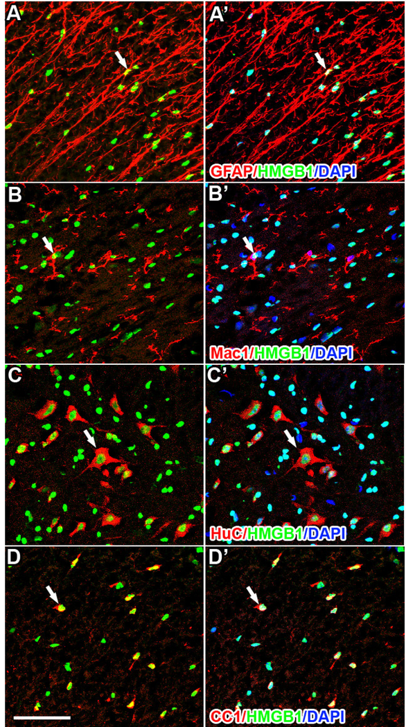 Figure 2.