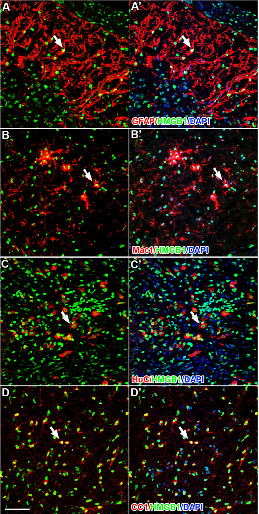 Figure 3.