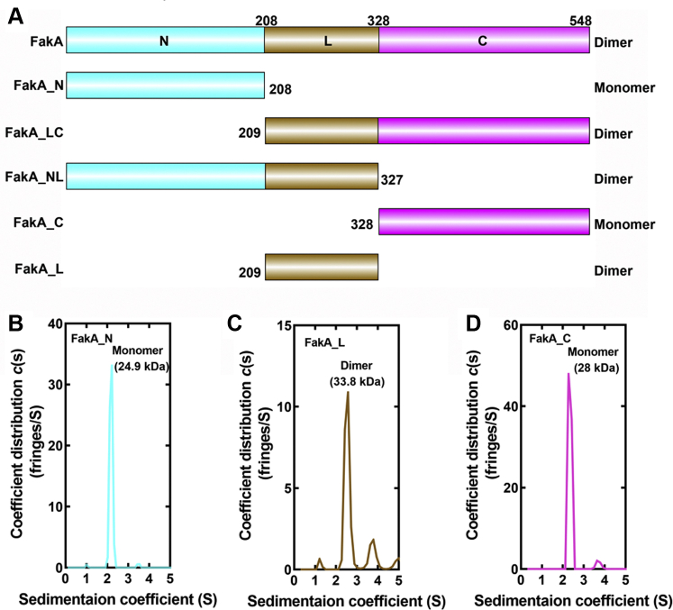 Figure 2