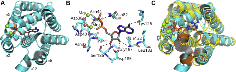 Figure 5