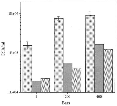 FIG. 7