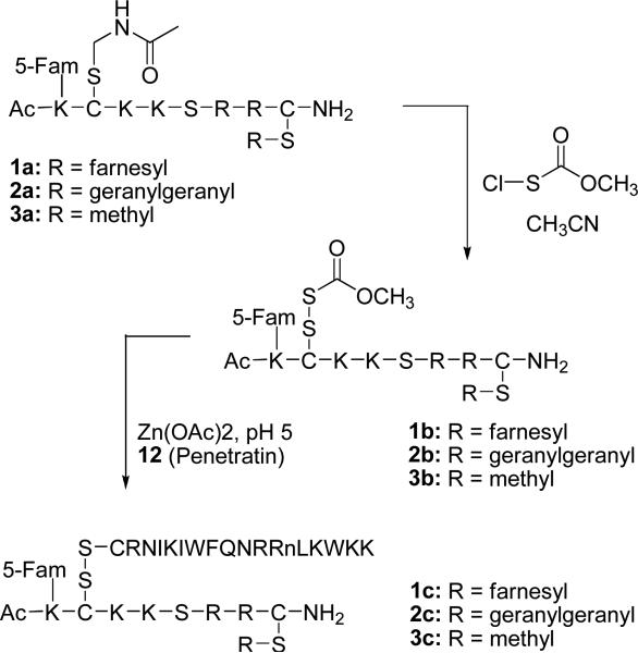 Scheme 3