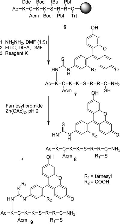 Scheme 1