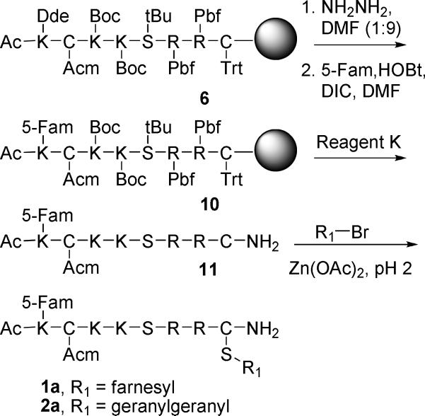 Scheme 2