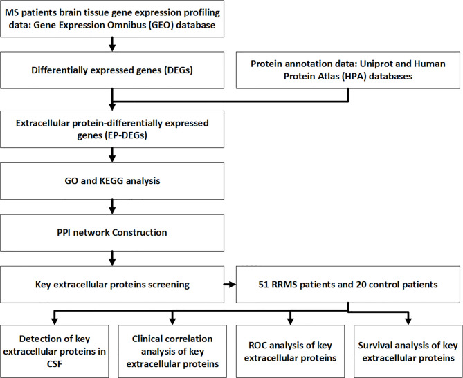 Figure 1