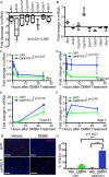 FIGURE 5: