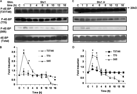 FIG. 1.