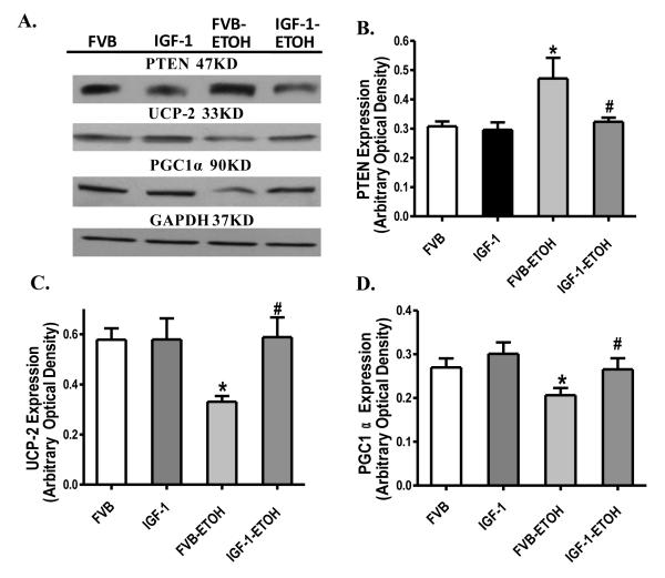 Fig. 11