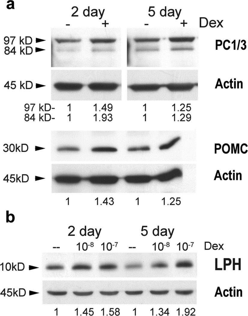 Fig. 7