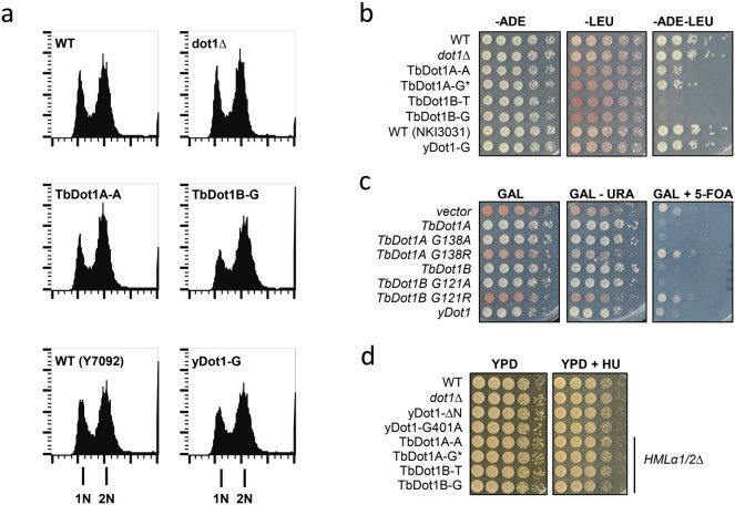 Figure 6