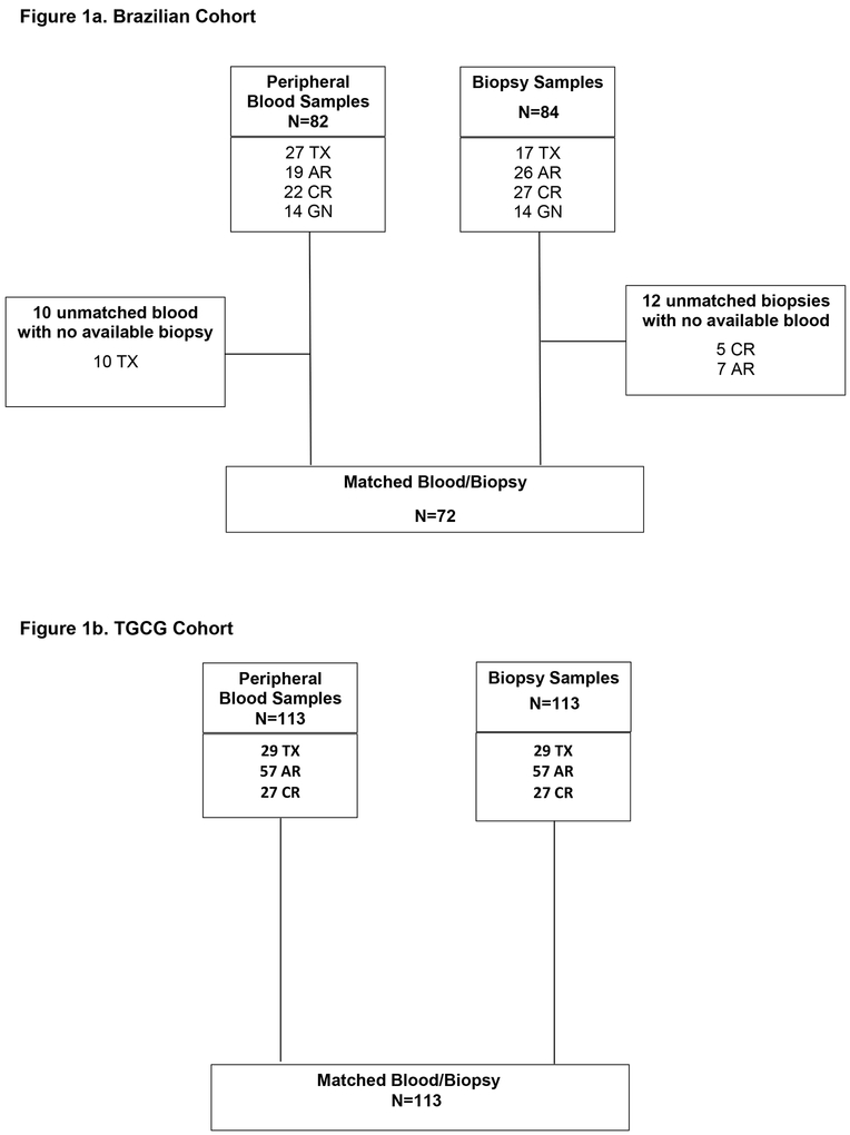 Figure 1a& 1b.