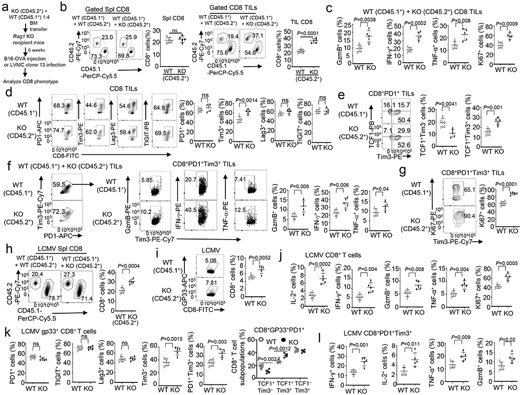 Extended Data Fig. 5.