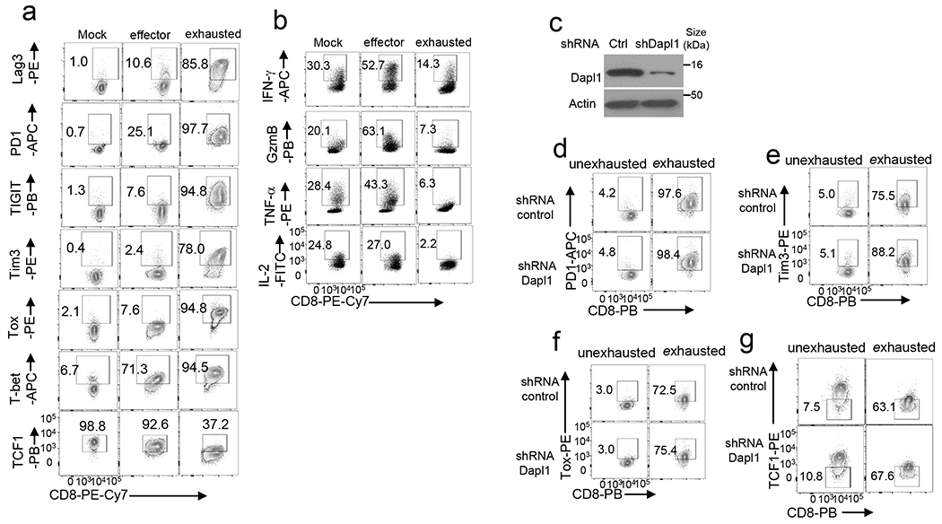 Extended Data Fig. 4.