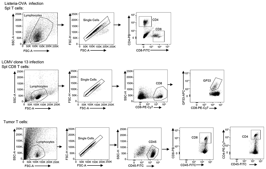 Extended Data Fig. 10.