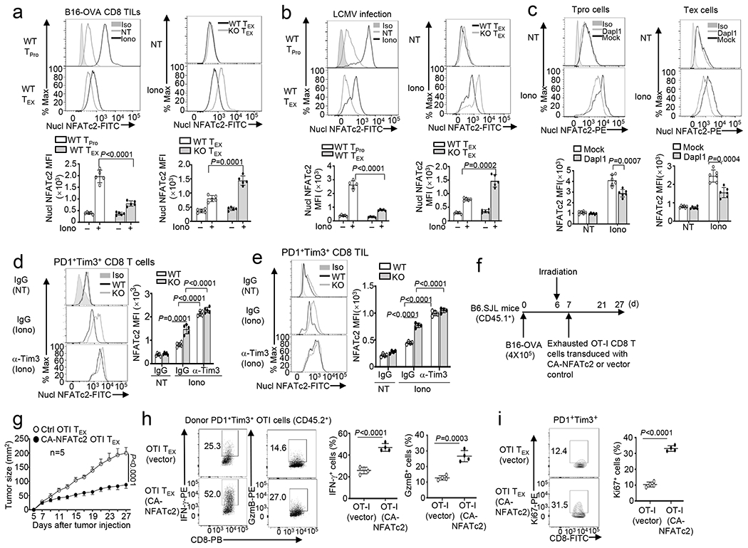 Fig. 8.