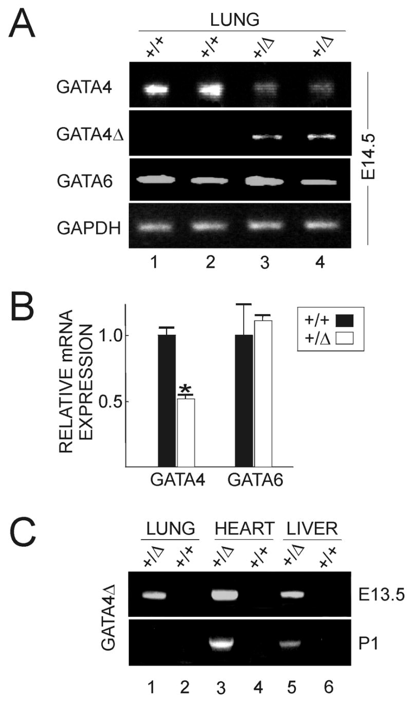 Fig 5