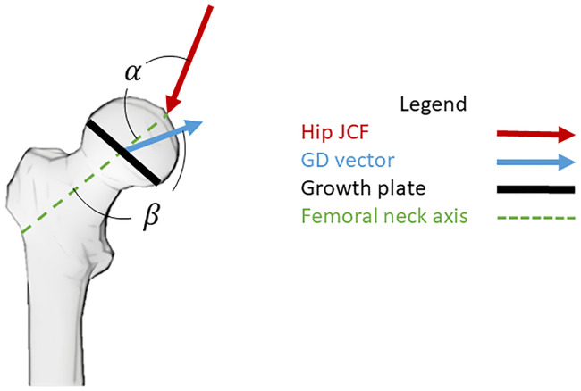 Fig 5