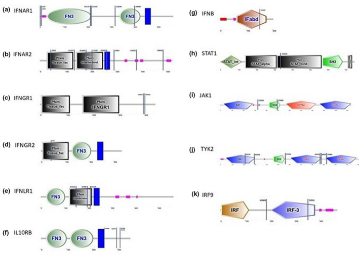 FIGURE 2