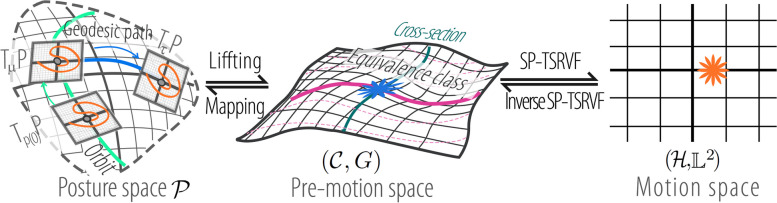 Fig. 8