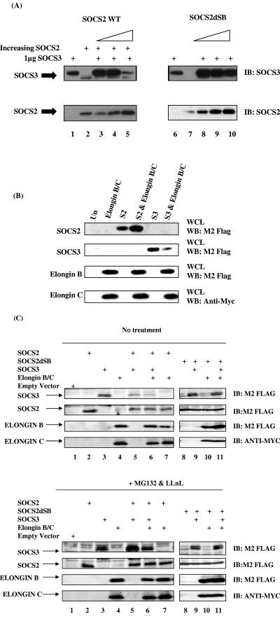 FIG. 6.