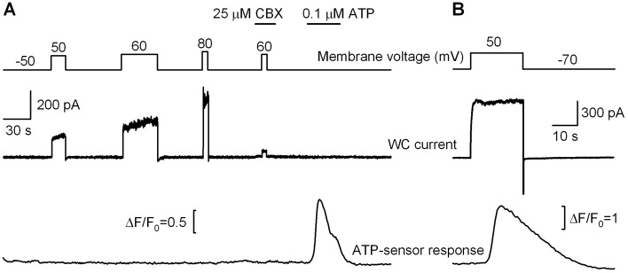 Fig. 5.