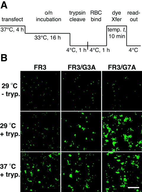 FIG. 6.