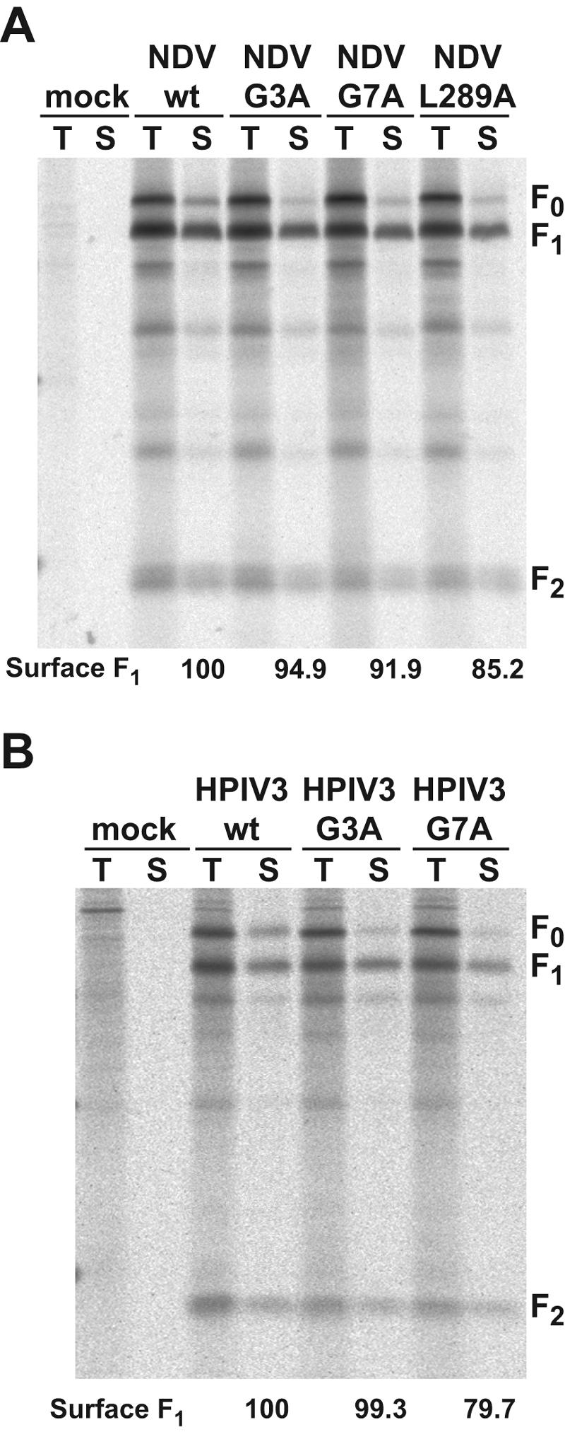 FIG. 7.