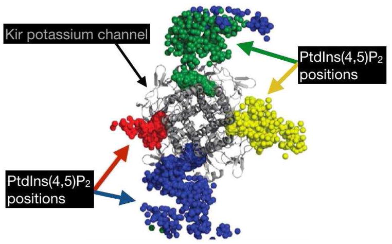 Figure 6