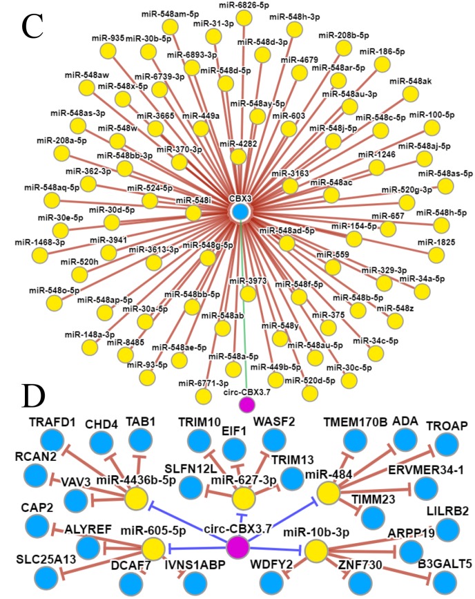 Figure 6b