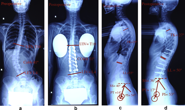 Fig. 1