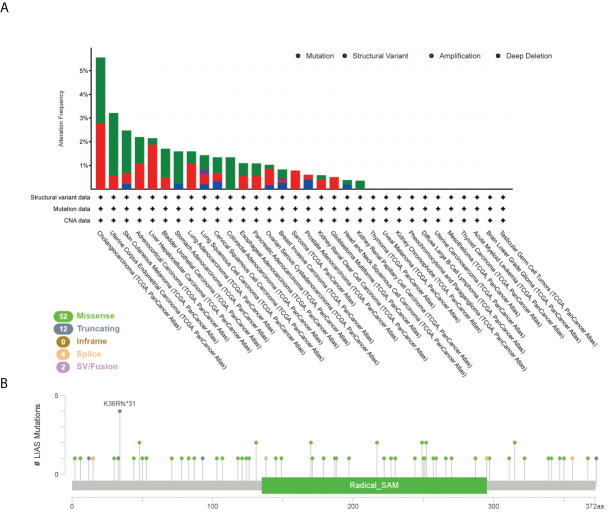 Figure 4