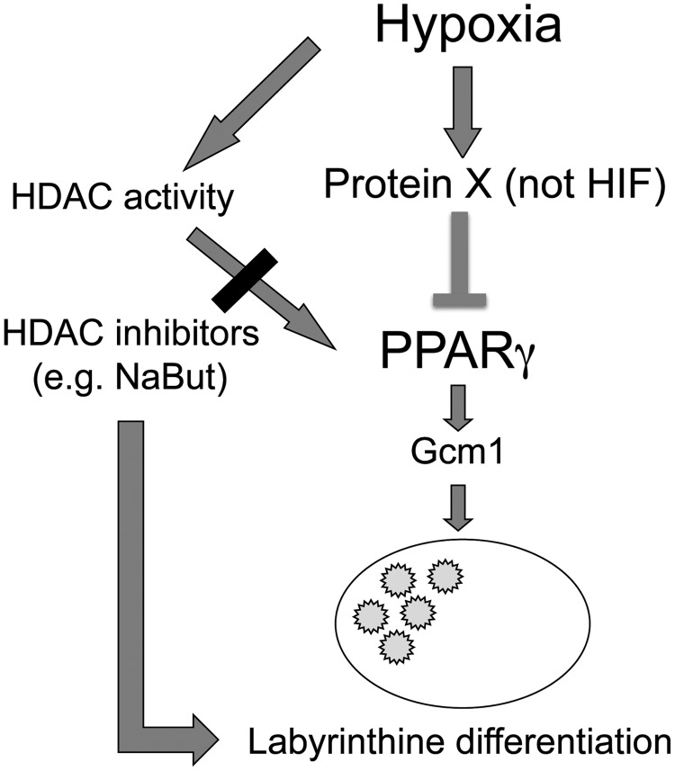 FIG. 7.