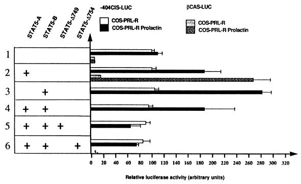 FIG. 7