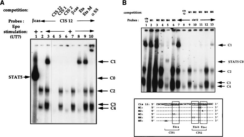 FIG. 6