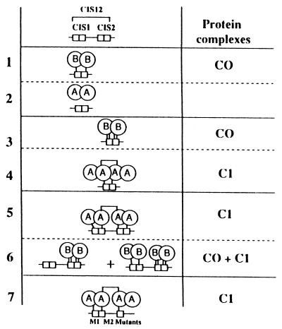 FIG. 8